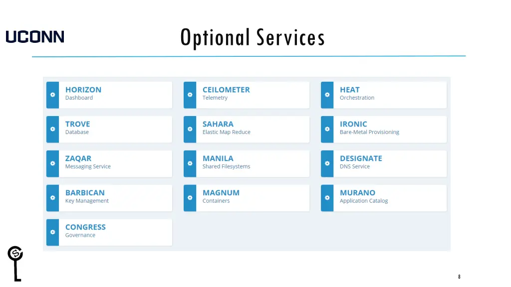 optional services