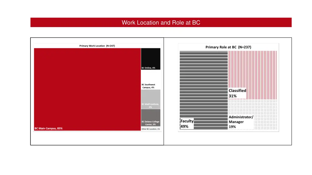 work location and role at bc