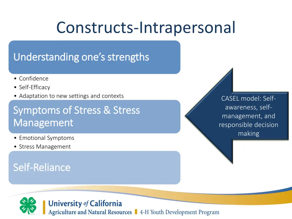 constructs intrapersonal