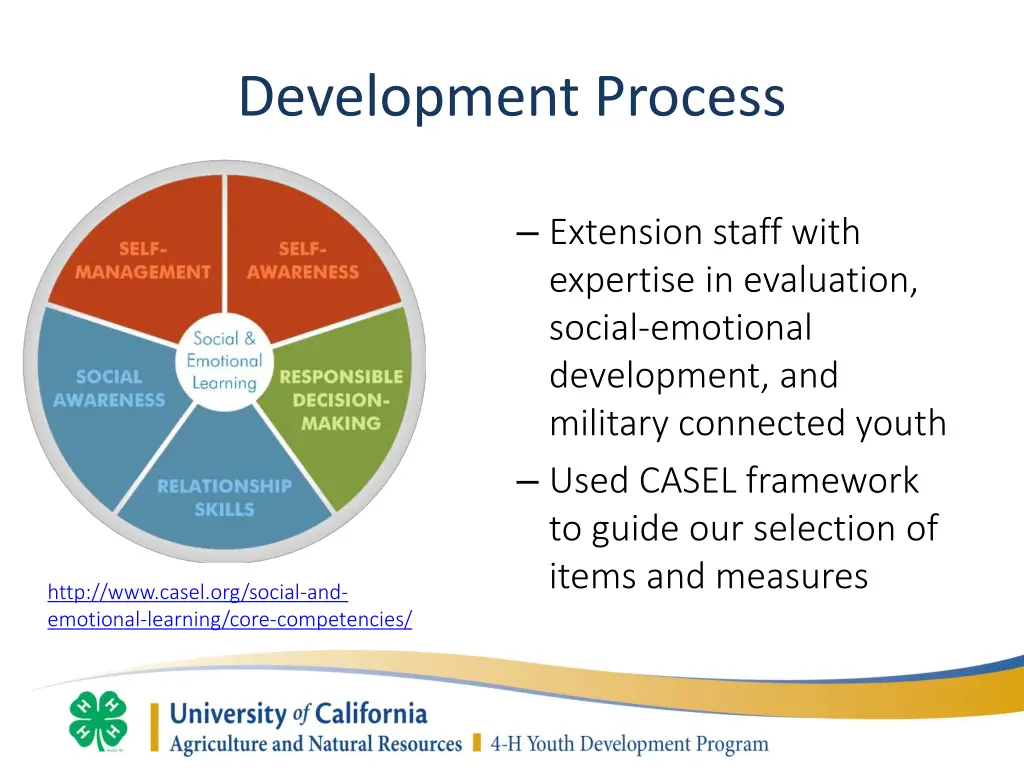 development process