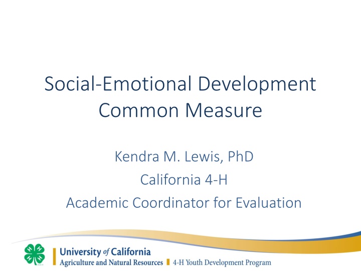 social emotional development common measure
