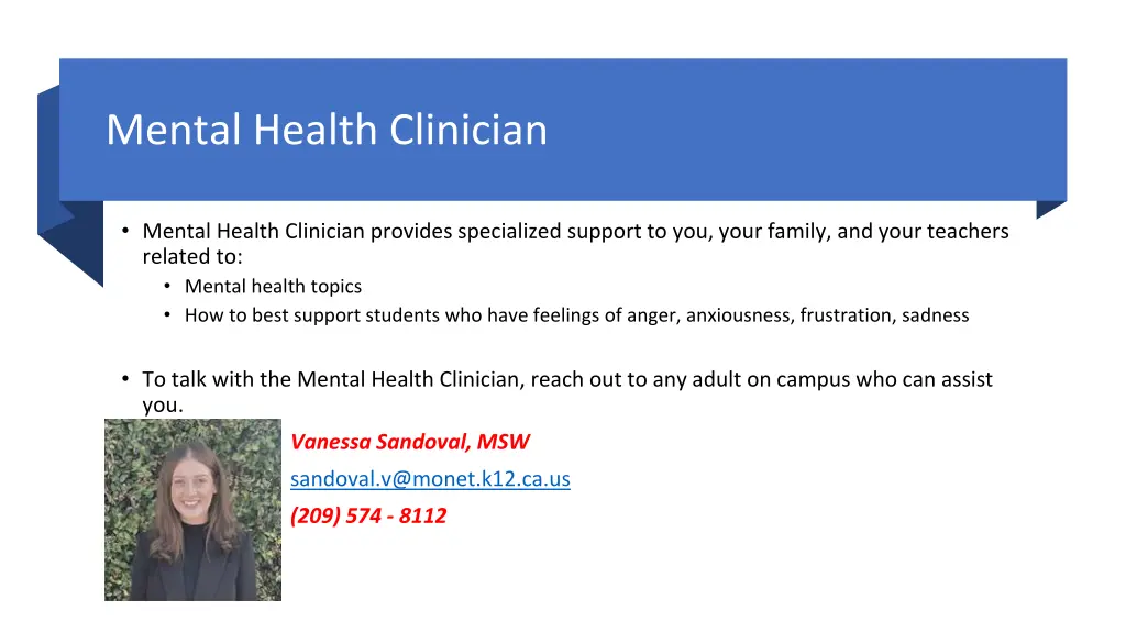 mental health clinician