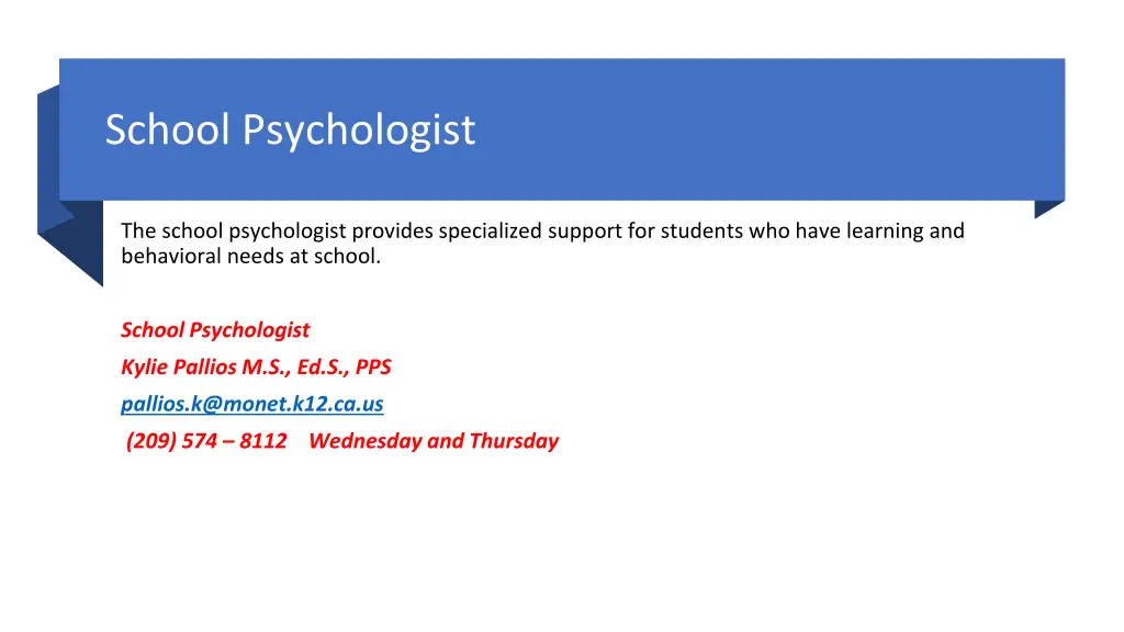 school psychologist