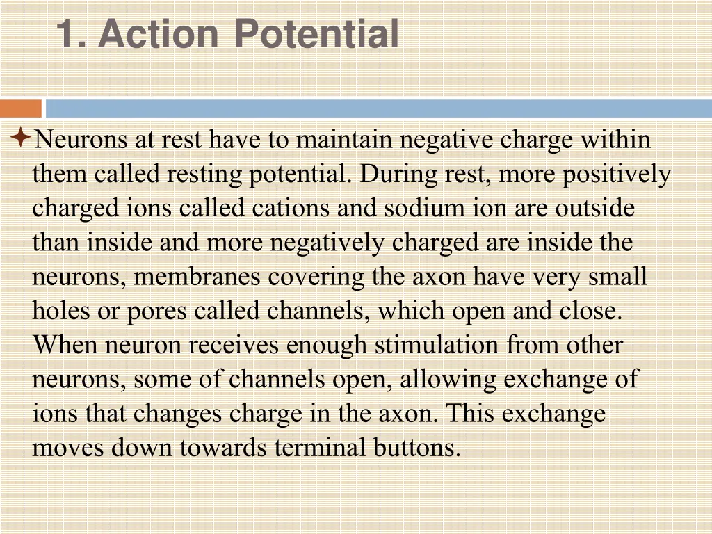 1 action potential