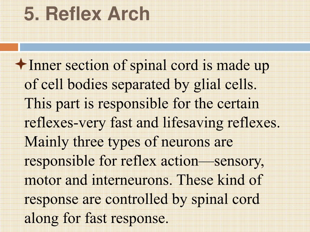 5 reflex arch