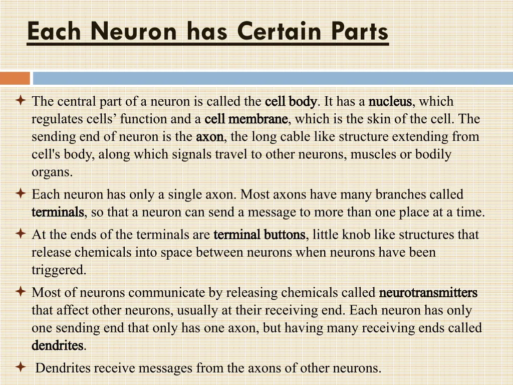 each neuron has certain parts