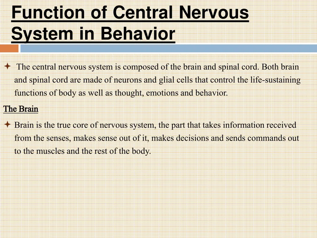 function of central nervous system in behavior