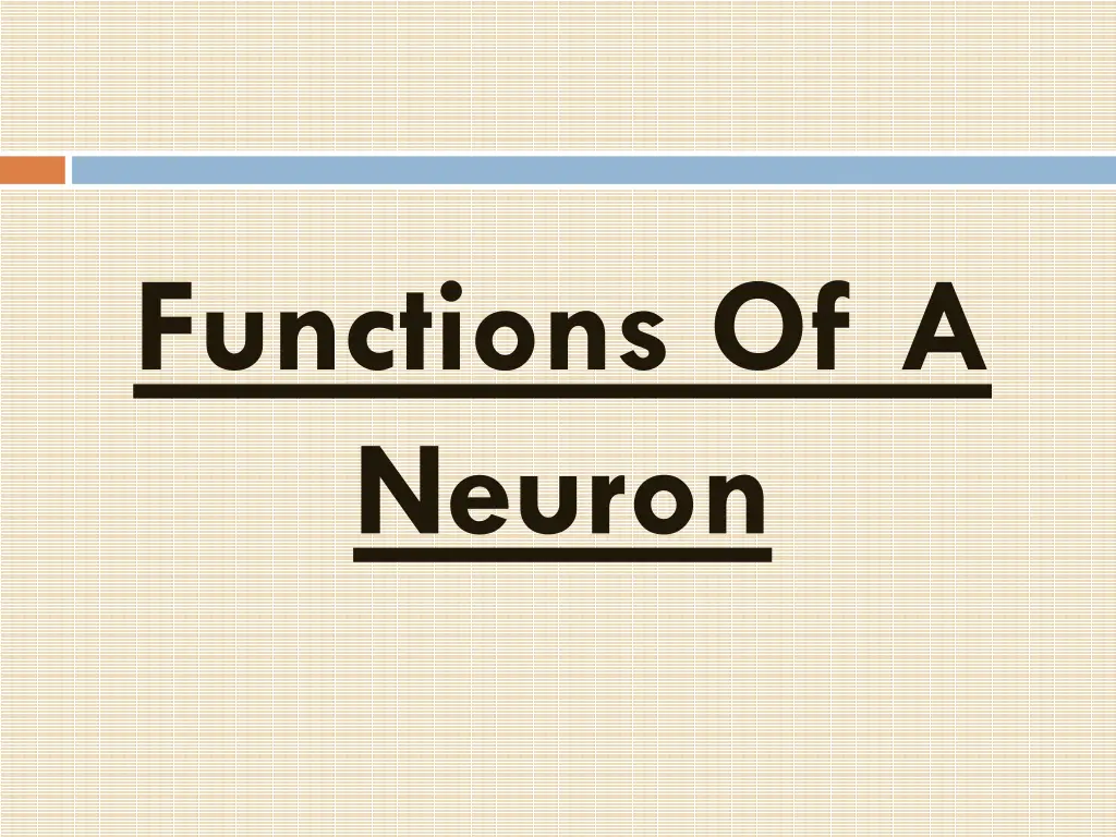 functions of a neuron