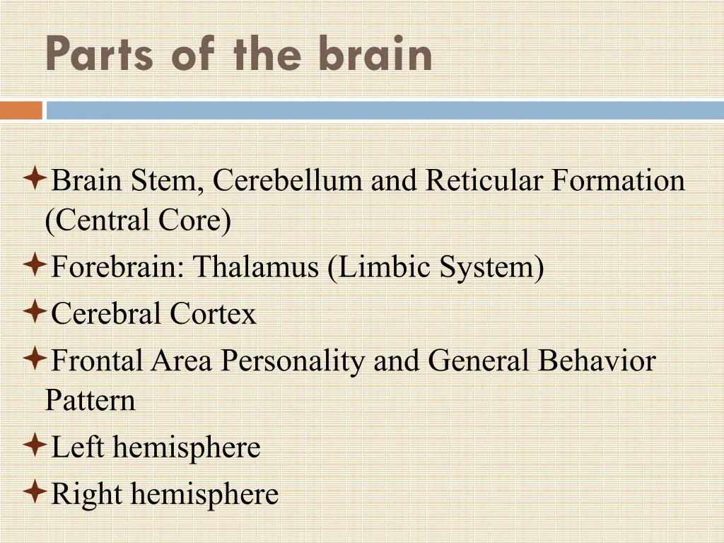 parts of the brain