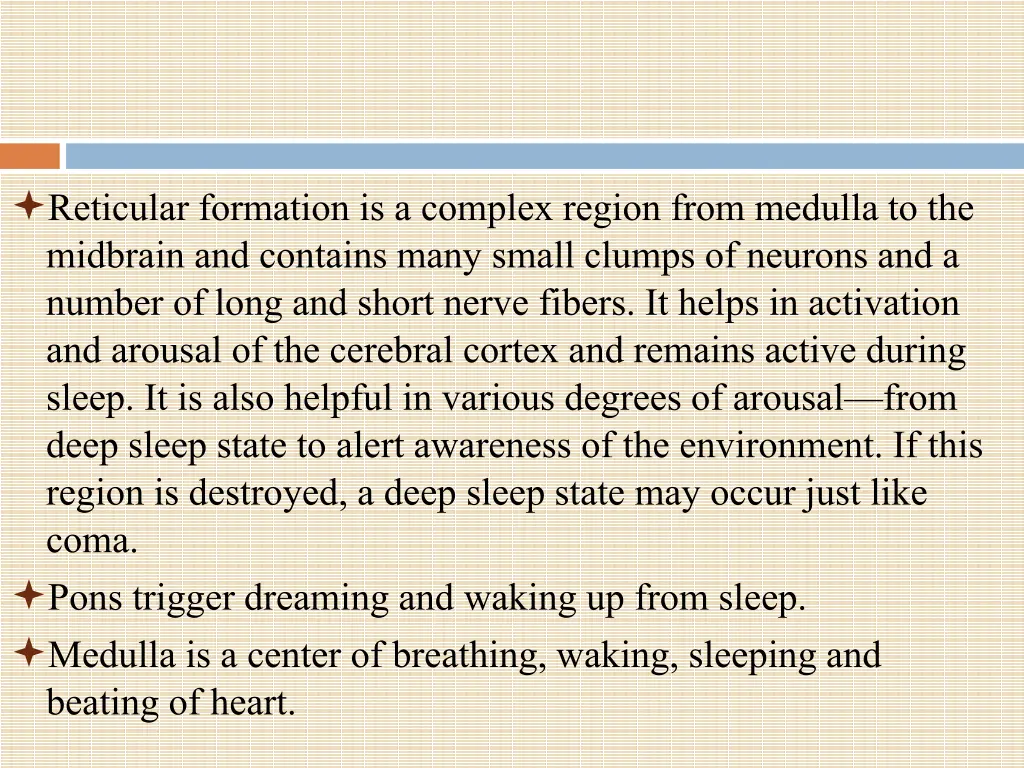 reticular formation is a complex region from