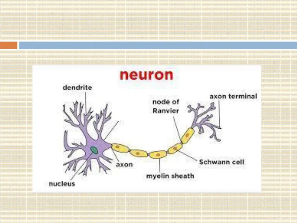 slide12