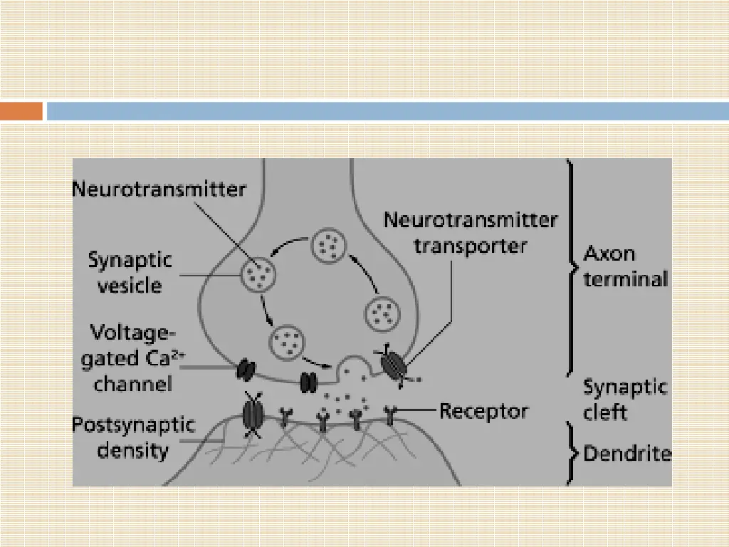 slide17