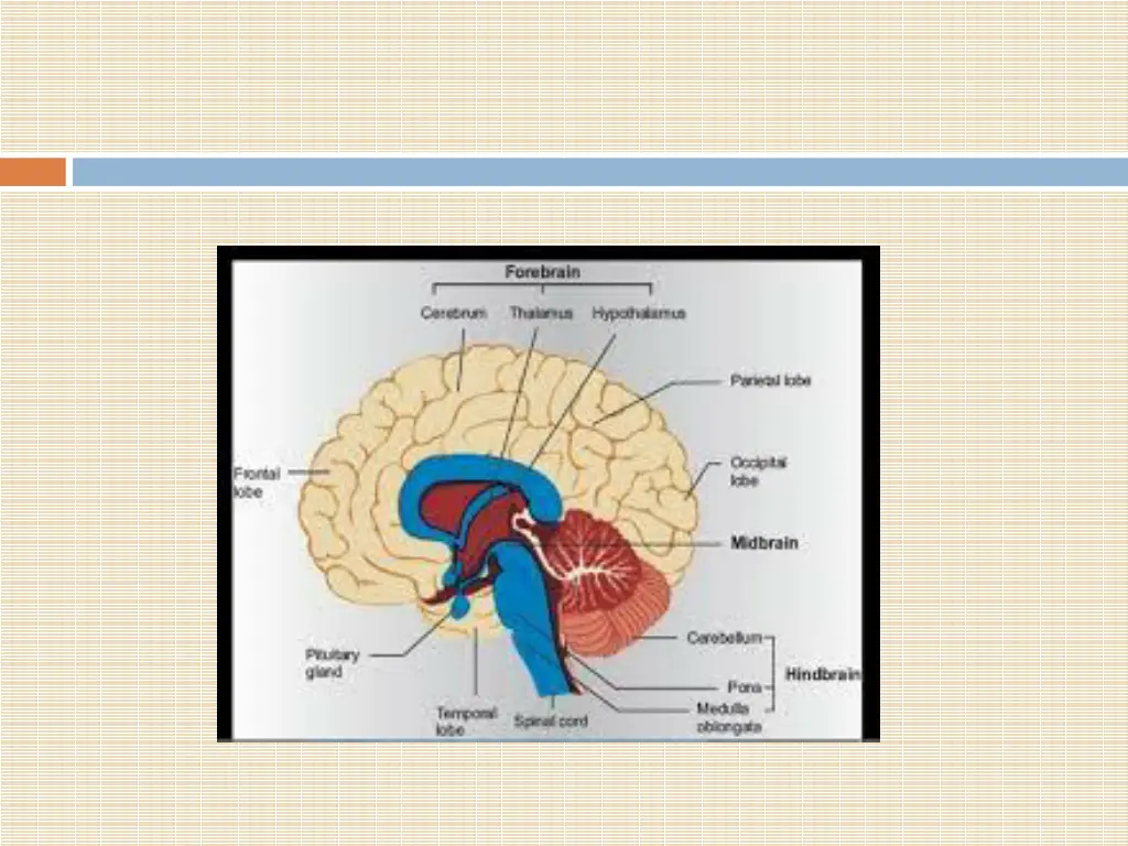 slide26