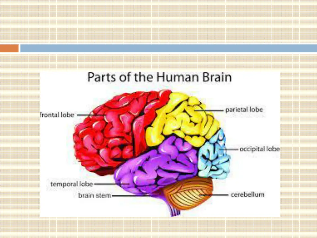 slide32