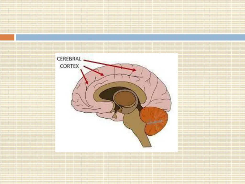 slide34
