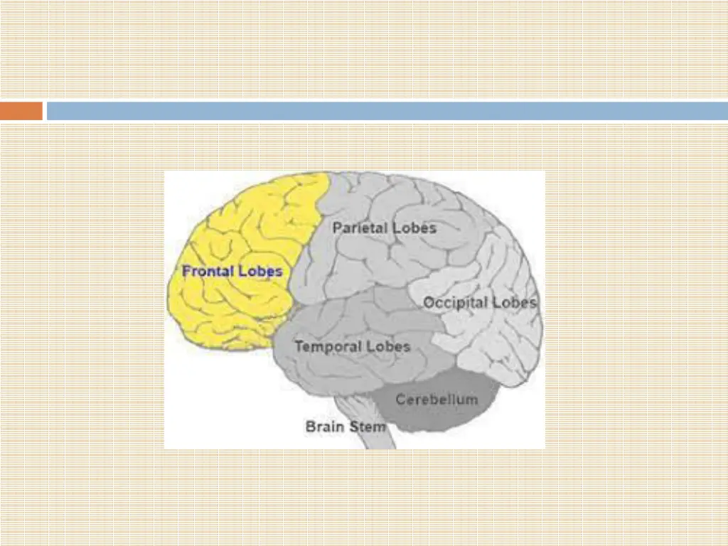 slide36