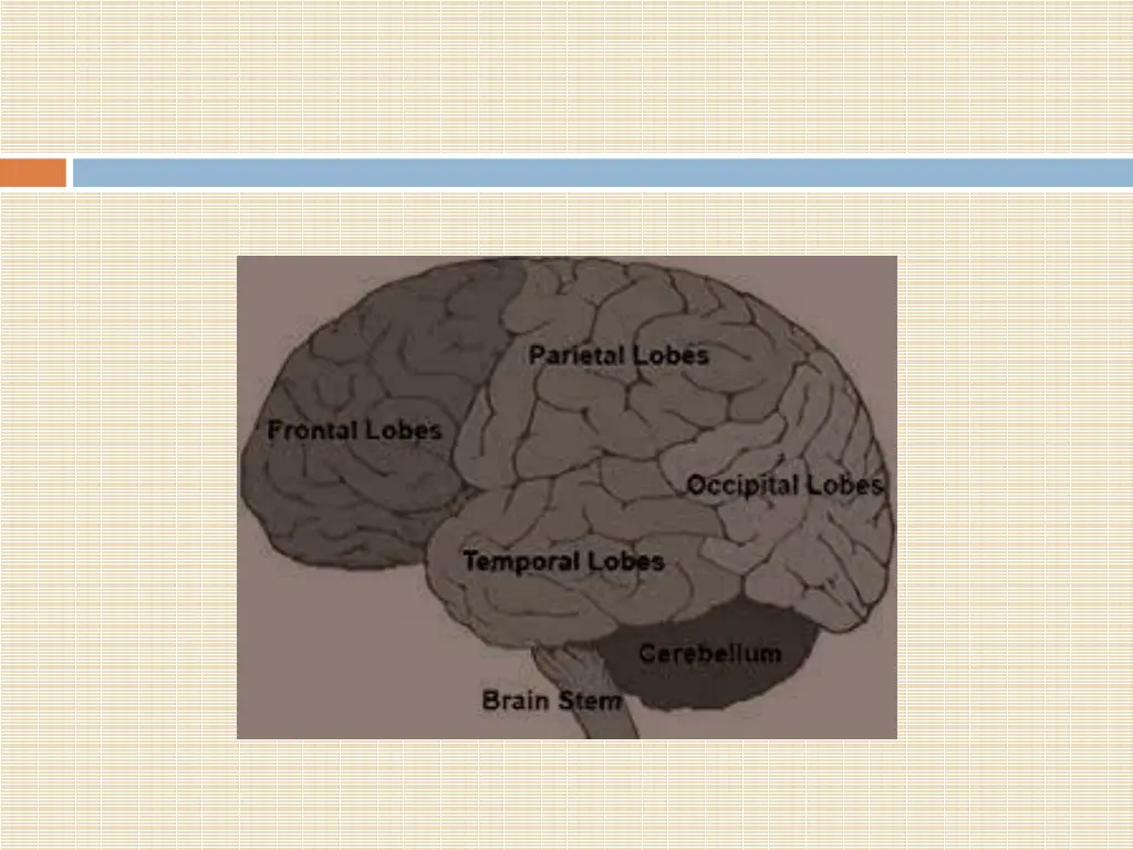 slide38