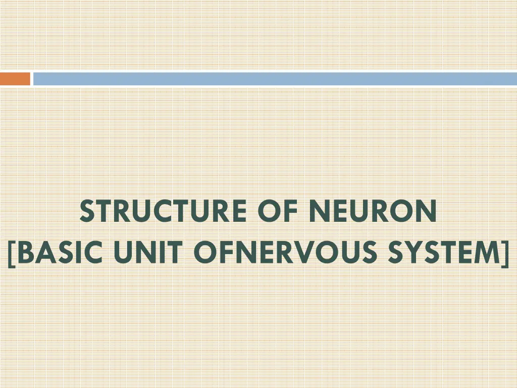 structure of neuron basic unit ofnervous system