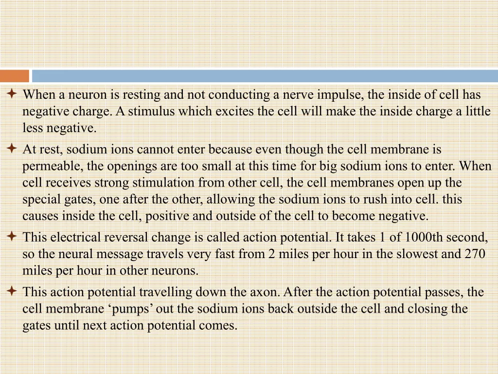 when a neuron is resting and not conducting