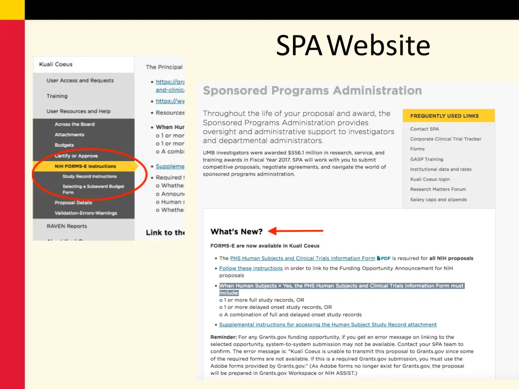 spa website