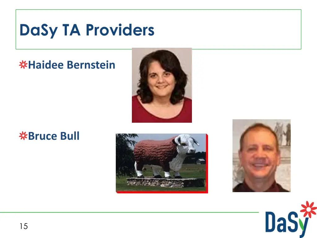dasy ta providers