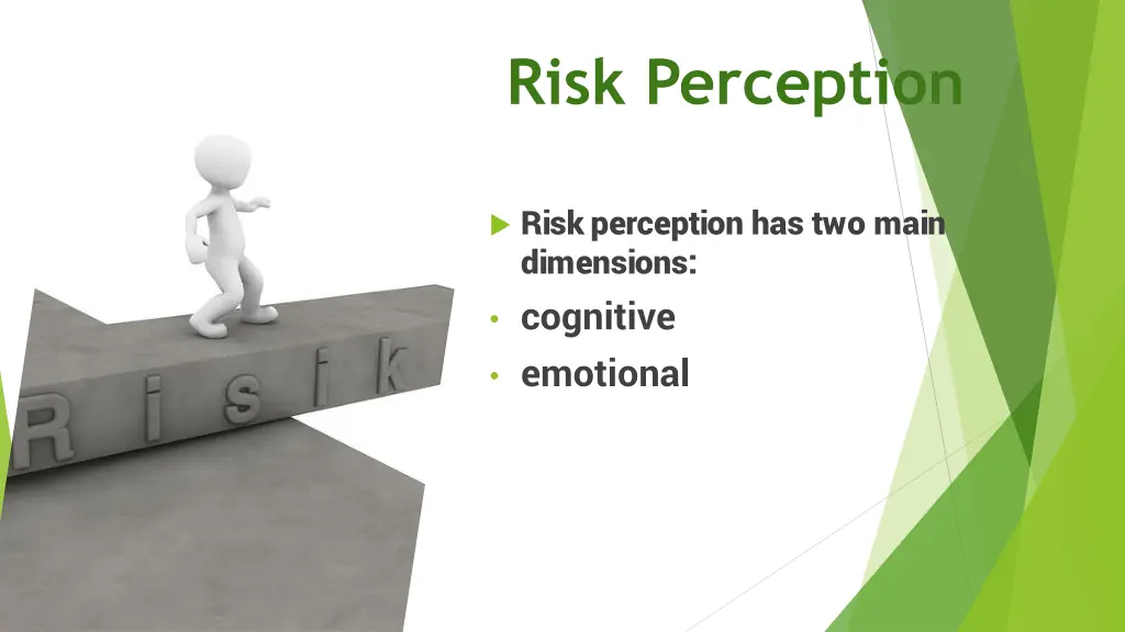 risk perception 1