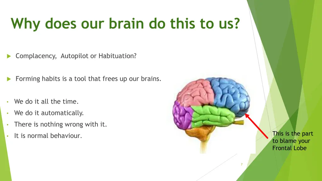 why does our brain do this to us