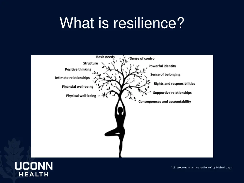 what is resilience 1