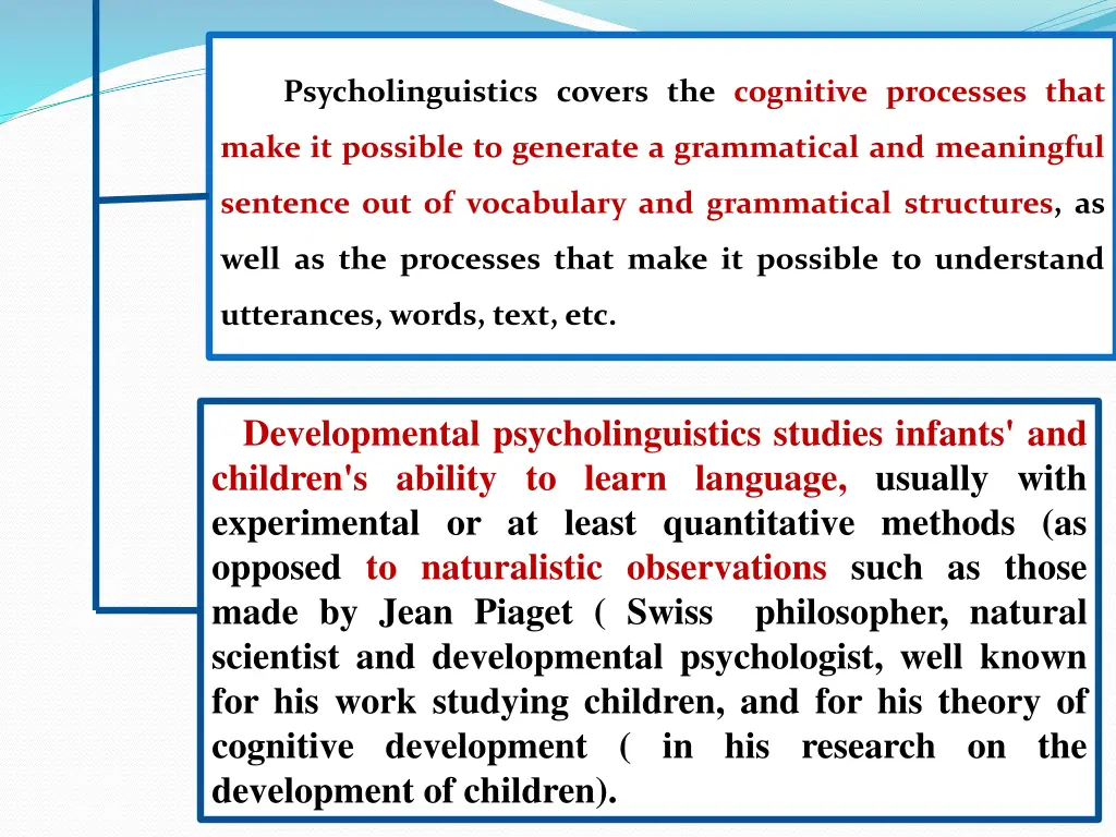 psycholinguistics covers the cognitive processes