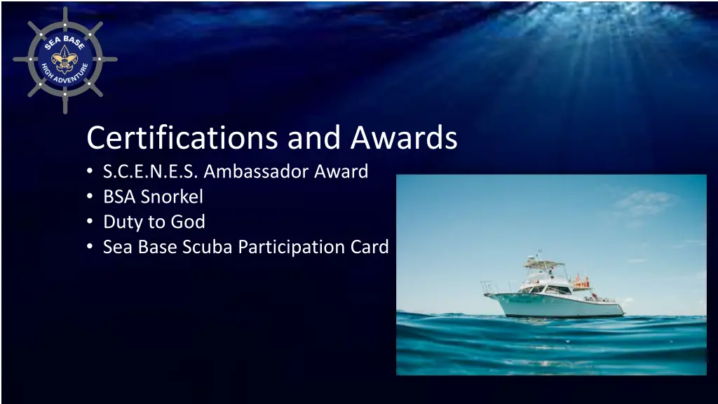 certifications and awards s c e n e s ambassador