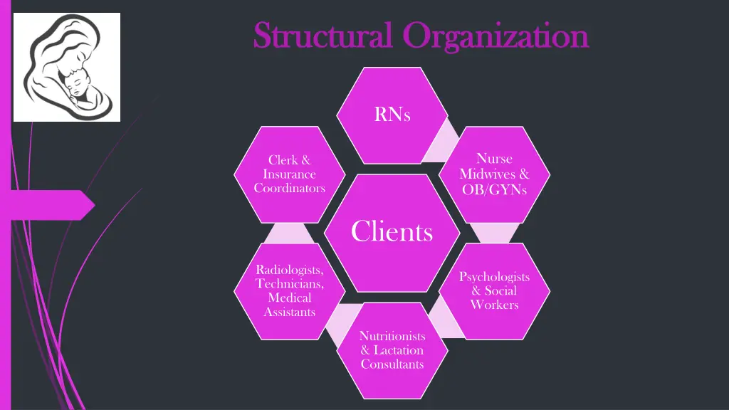 structural organization structural organization 1