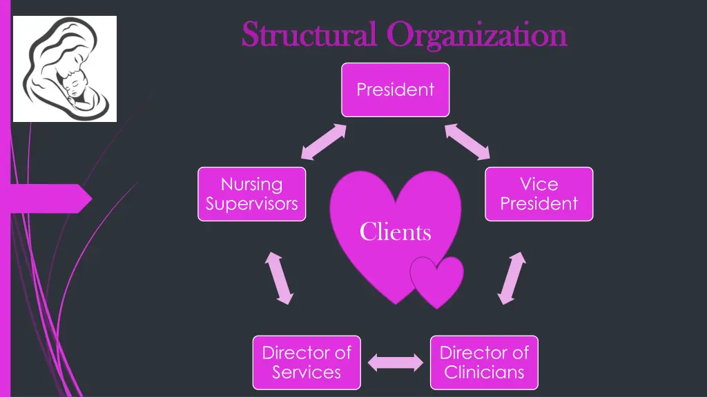 structural organization structural organization