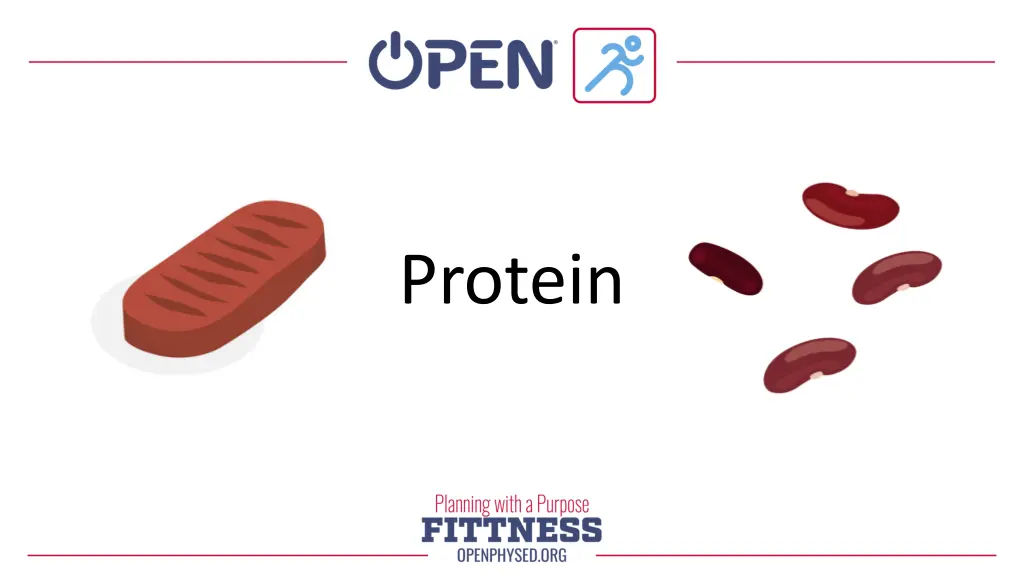 protein