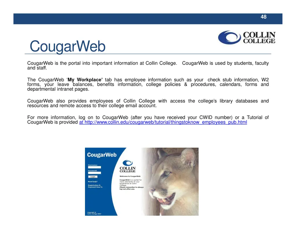 slide19