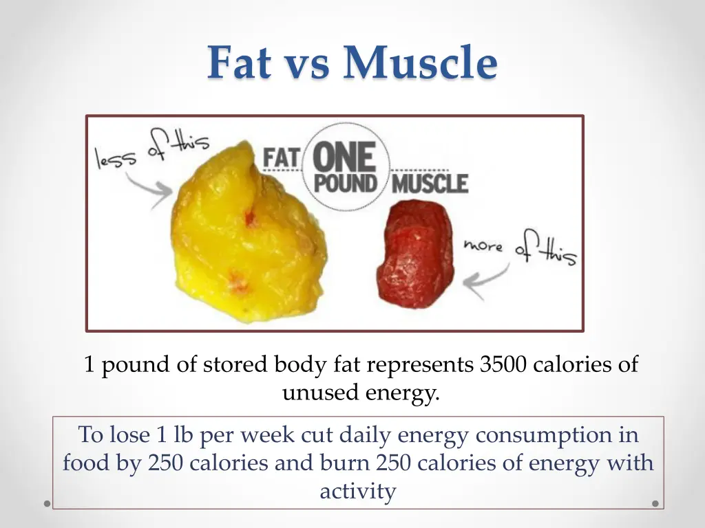 fat vs muscle