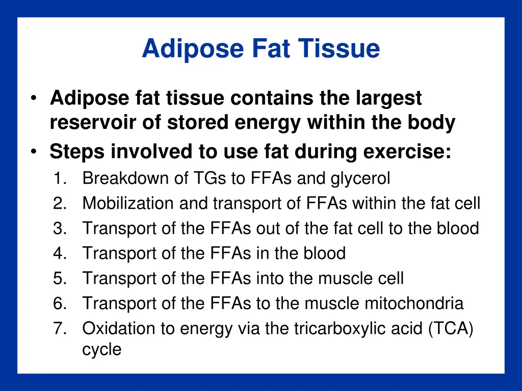 adipose fat tissue