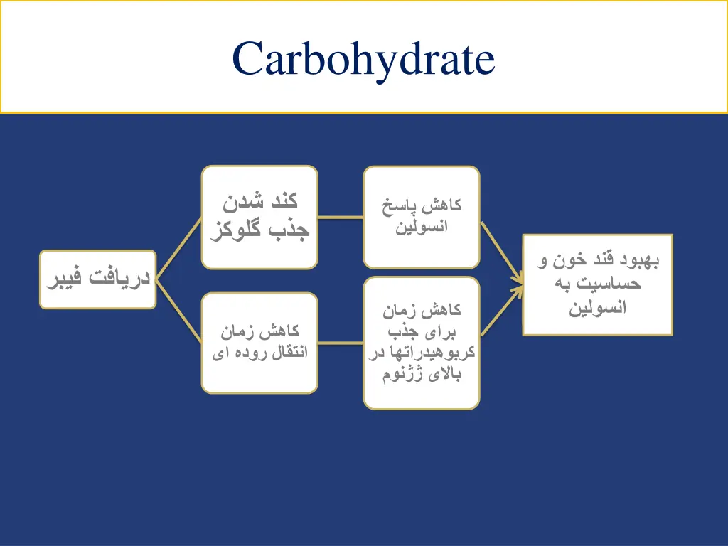 carbohydrate 1