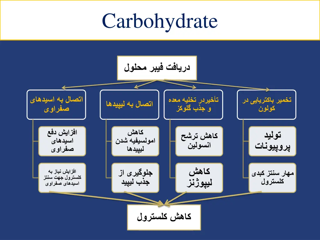 carbohydrate 2