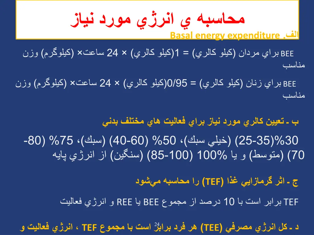 slide24