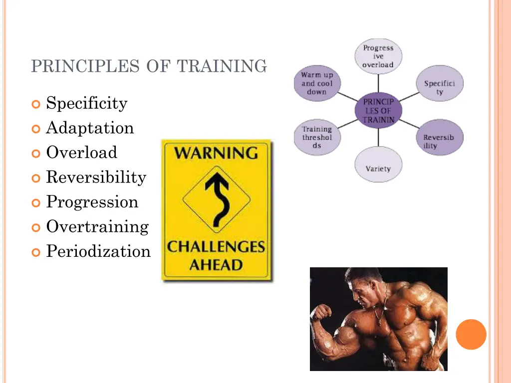 principles of training 1