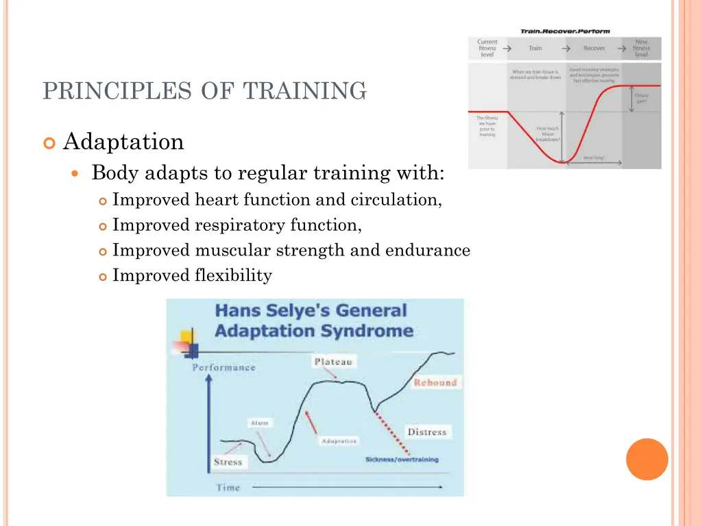 principles of training 3