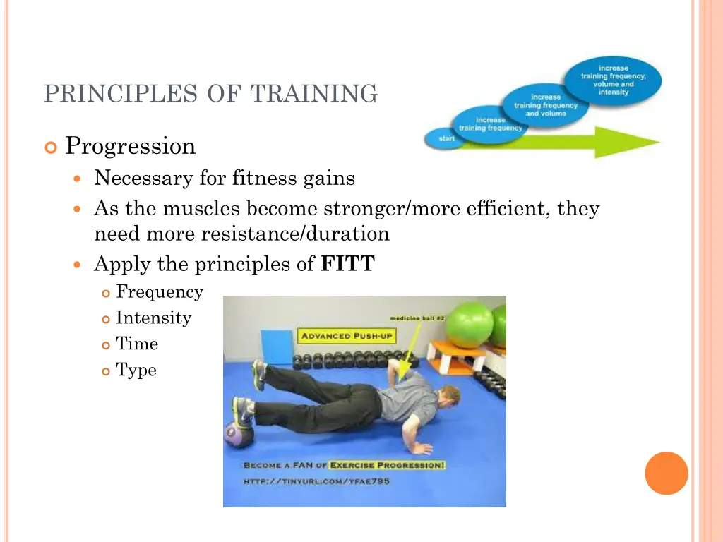 principles of training 6