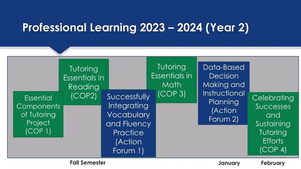professional learning 2023 2024 year 2