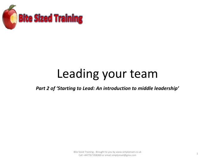 leading your team