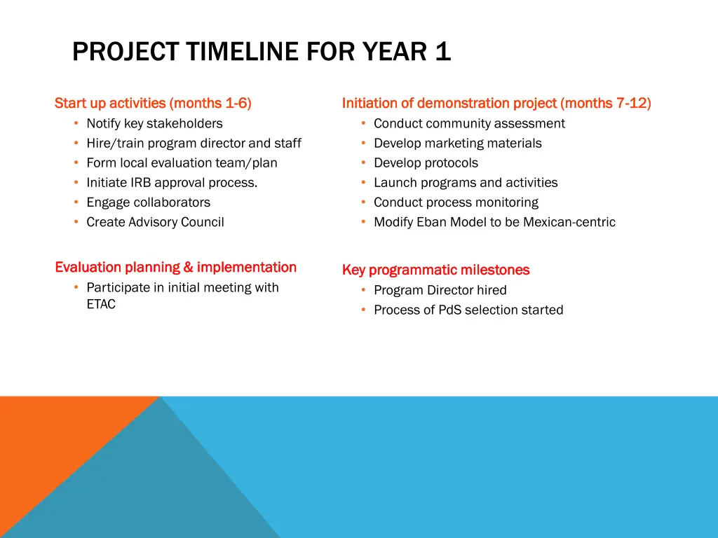 project timeline for year 1