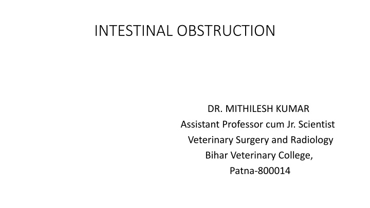 intestinal obstruction