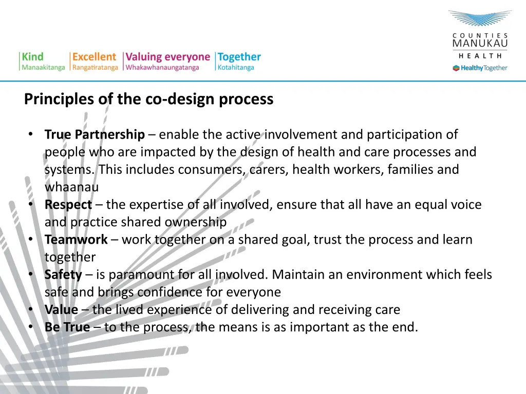 principles of the co design process