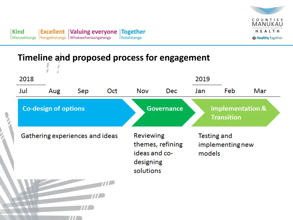 timeline and proposed process for engagement