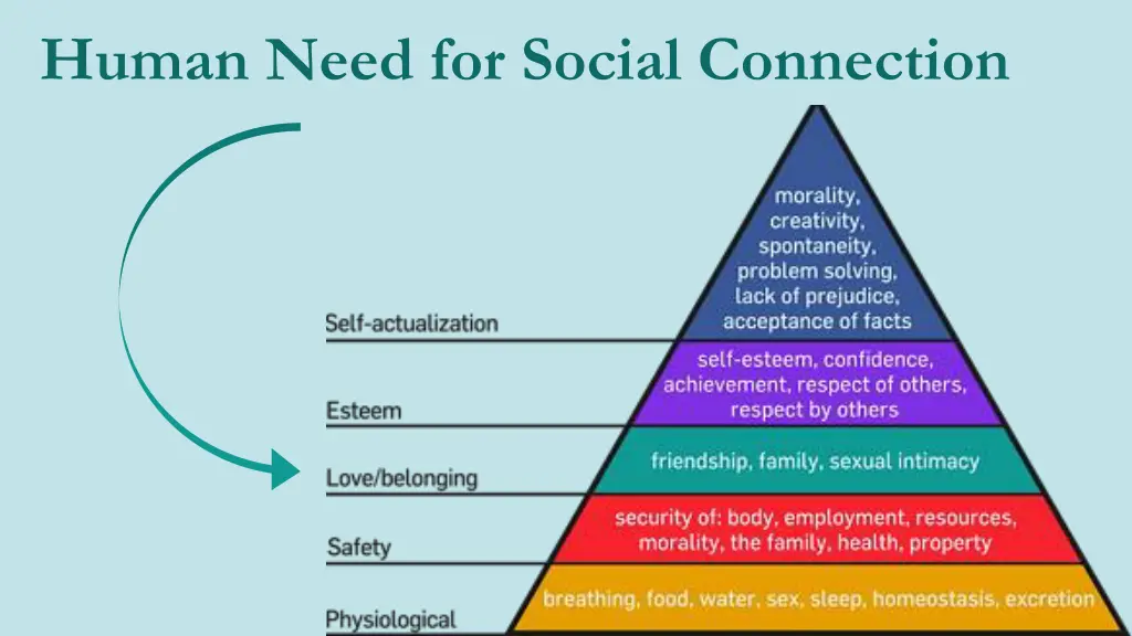 human need for social connection