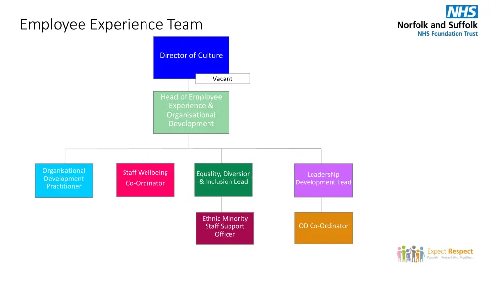 employee experience team